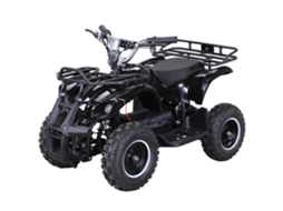 Quadriciclo Elétrico Infantil Torino, 1000 Watts, Quadriciclo de Bolso com Freios a Disco, 24 Km/h, 3 Baterias de 12 Volts ACTIONBIKE