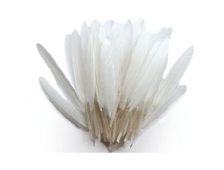 Penalidades indianas White Grains Creatives por Pw