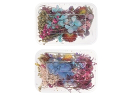 2 Unidades de Mini Flor Seca ALLINLESS
