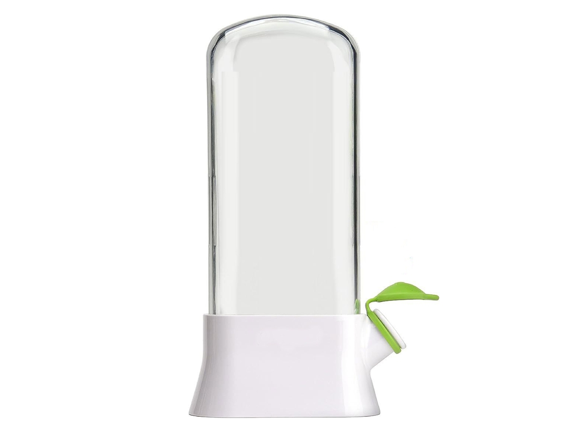 Recipiente para ervas plástico preservador de frescura para coentro, hortelã, aspargo no refrigerador com S/MARCA