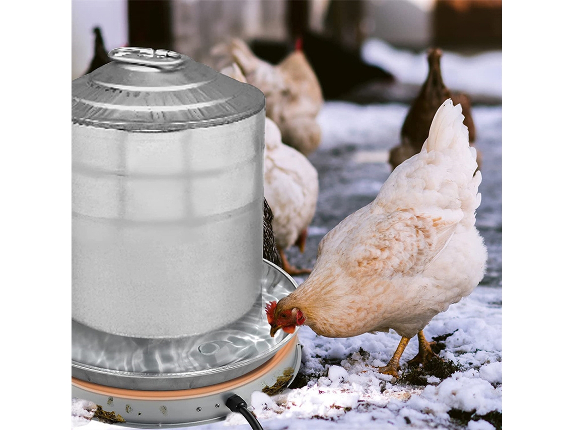 Aquecedor De Água Galinha 65w Com Termostato 7.3ft