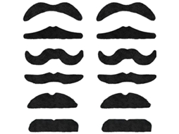 Nova Line conjunto de 12 Barbas Falsas Autoadesivas para Fancy Dress com Estilos Variados