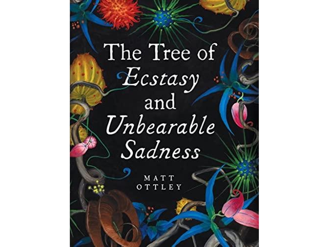 Livro Tree Of Ecstasy And Unbearable Sadness De Matt Ottley (inglês)