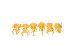 6pcs Modelo De Besouro Simulado Pvc Não Tóxico Brinquedo Props Halloween Dourado