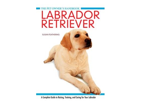 Livro labrador retriever de becky collins (inglês)