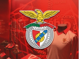 Pack Presente Odisseias - Sport Lisboa e Benfica | Tour ao Estádio & Museu + Cachecóis