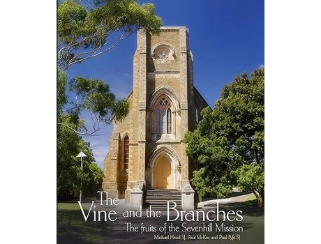 Livro the vine and the branches de michael head,paul mckee,paul fyfe (inglês)