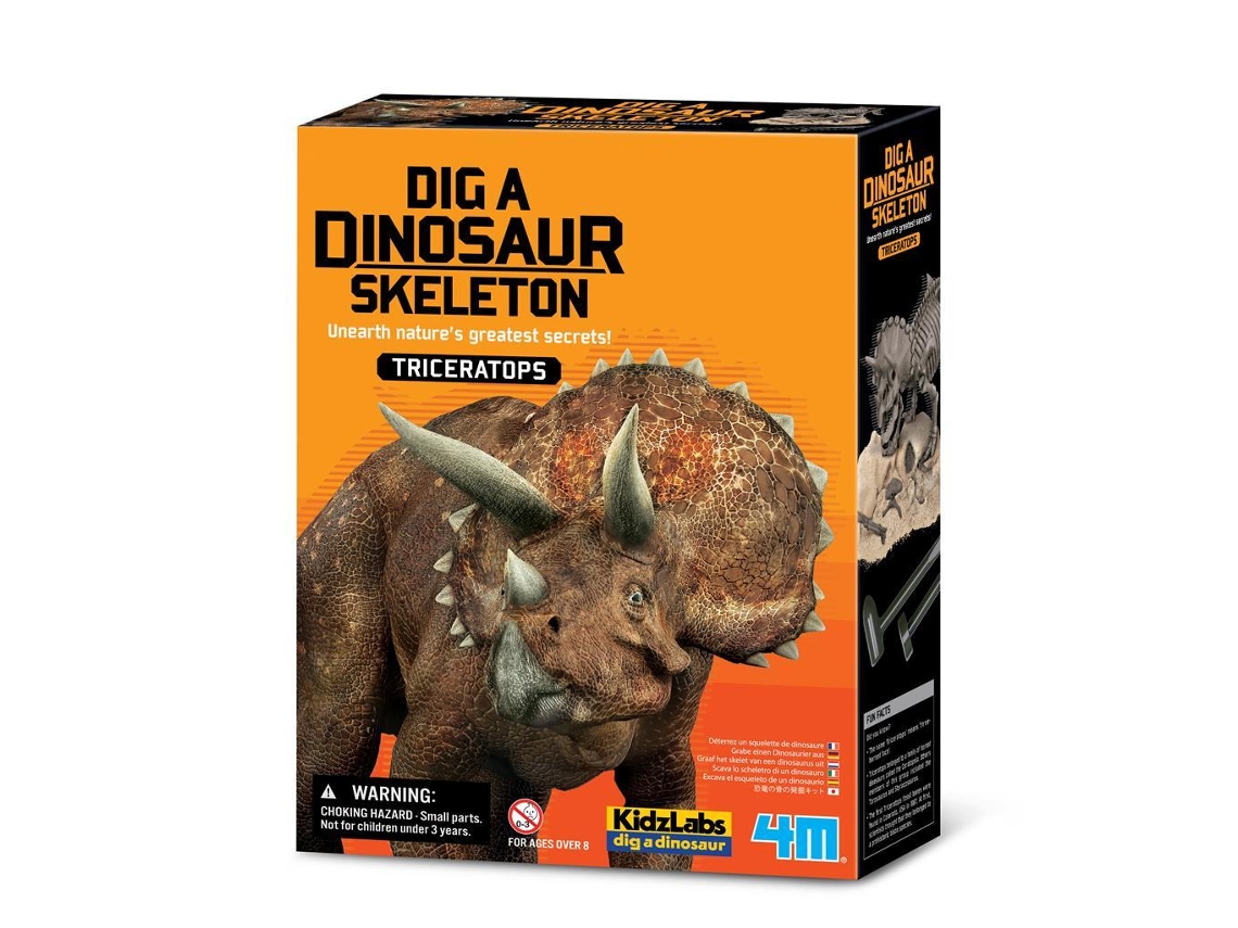 Kit Esqueleto Triceratops