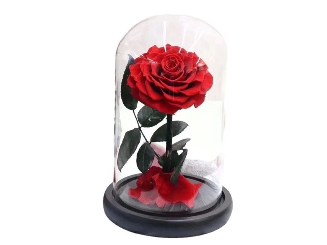 Rosa Eterna Roja Artificial Preservada, Lápis De Vidro De Madeira, Presente Para Dia De São Valentim, Dia Da Mãe, Aniversário