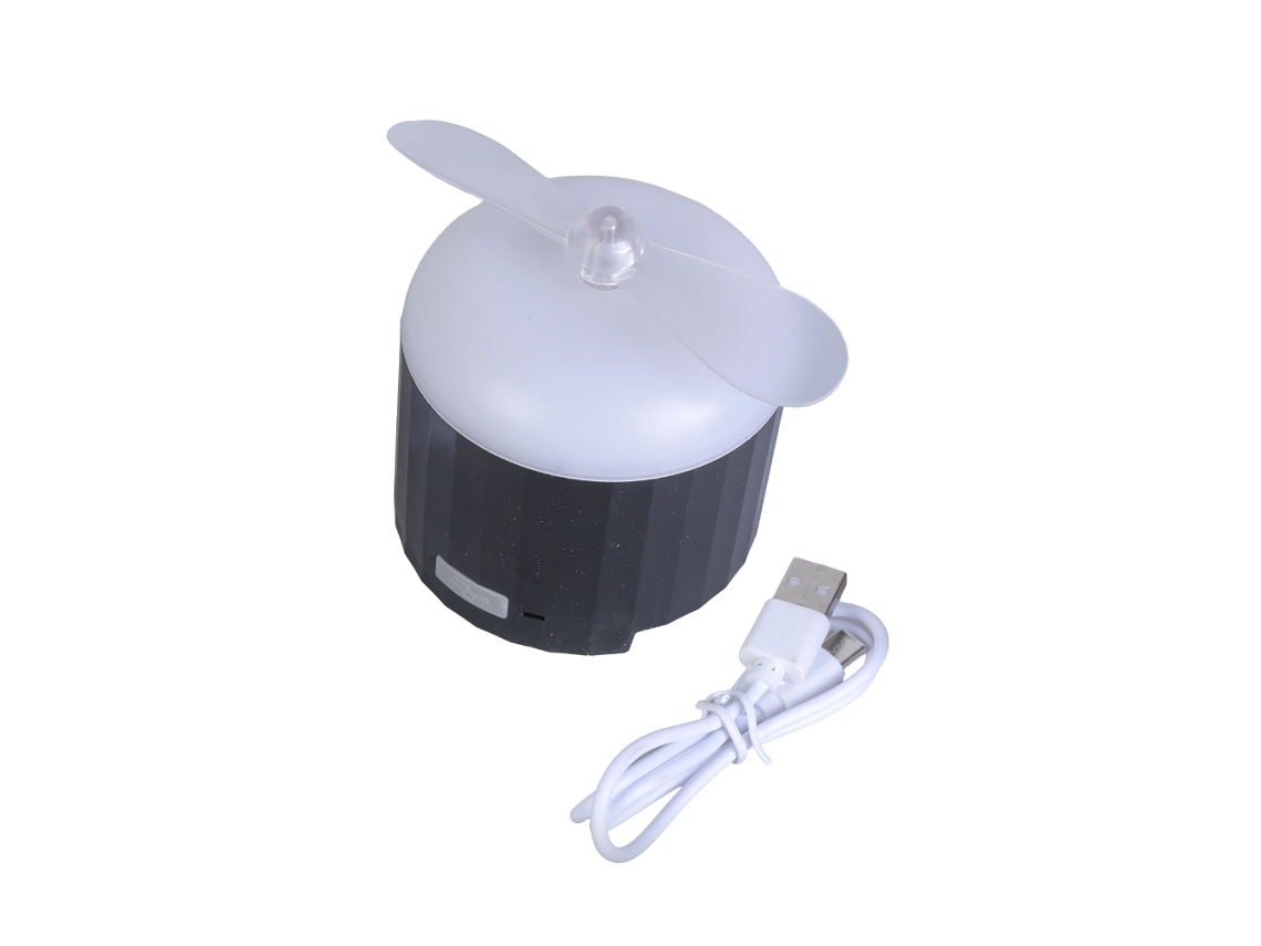 Ventilador de Teto USB com Luz BRILVIBERA