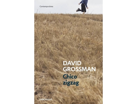 Livro Chico Zigzag de Grossman,David