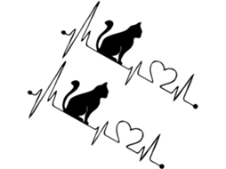 Adesivos para carro com gatinhos fofinhos, 2 unidades, PVC preto, fáceis de remover.