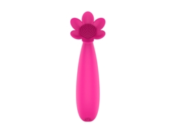 Vibrador De Massagem De Silicone Recarregvel Usb Com 19 Modos De Vibrao Para Mulheres (rosa Vermelha) Yizhood