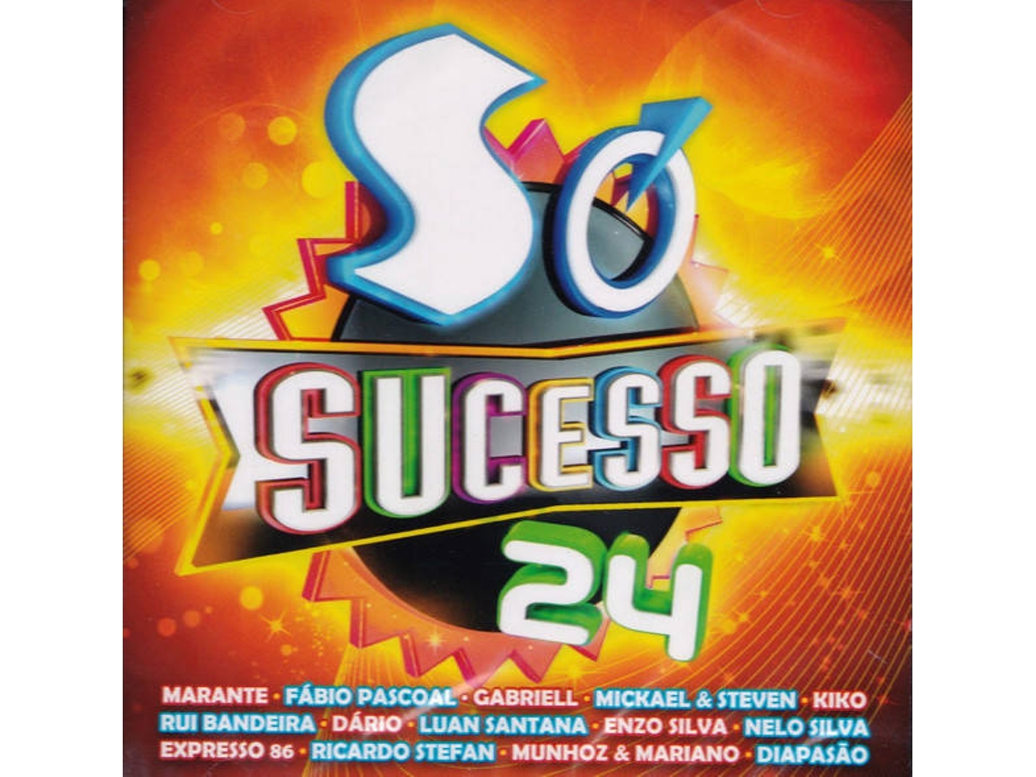 CD Só Sucesso 24