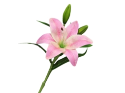 Laxiscreed Flores Artificiais Pink 3d Lily De 38cm Para Decoração Elegante E Sofisticada