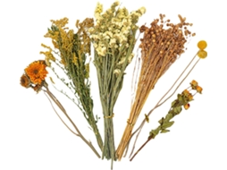 Forro de Flores Secas para Hamster Decoração Habitat com Animais Gaiola Tema Natural. Acessórios CHABERLU