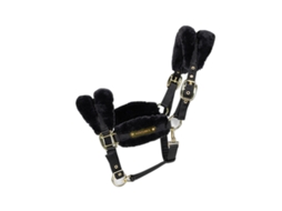 Cabresto para Ovelhas KENTUCKY