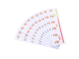 Régua De Medição Plástico 10 Peças, Tamanho 16x4x0,1 Cm, Para