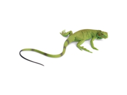 SAFARI Iguana Baby