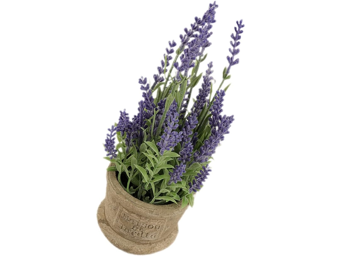 Bonsai De Lavanda , Vaso De Polpa De Flor Para Casa. Gokoco