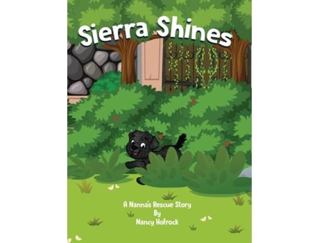 Livro Sierra Shines De Hofrock, Nancy Et Al. (inglês)