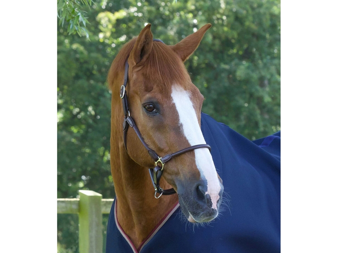 Cabresto anatómico laminado de couro para cavalos Premier Equine Hennaroso