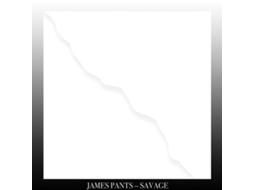 Vinil James Pants - Savage