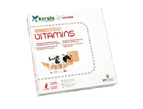 KERSIA Hy Nutrition Boliflash Vitamins Estuche 12 Bolos