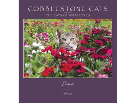 Livro Cobblestone Cats - Lima The Cats Of Miraflores De Alan Panattoni (inglês - Capa Dura)
