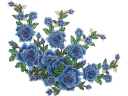 Pares De Apliques Florais Bordados