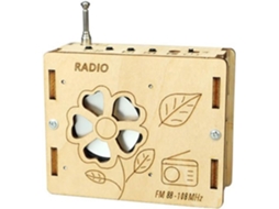 Kits de Experimentos Científicos SFUSHOS, madeira, rádio FM, quebra-cabeças