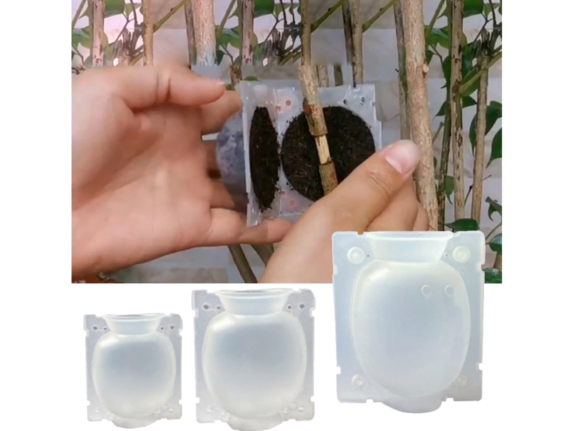 Caixas De Propagação De Raízes Para Plantas