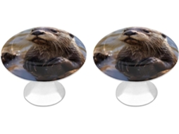Conjunto De 2 Puxadores Aço Inoxidável Para Armários Cozinha, Com Estampa Personalizada De Lontra Brincando Na Água