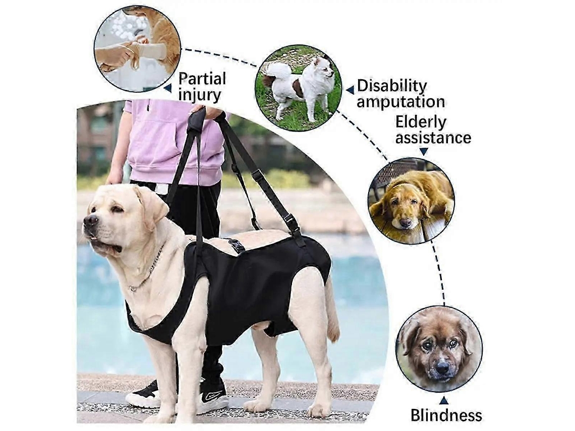 Arnês para transporte de cães Arnês para suporte de animais de estimação Reabilitação de filhotes Colete de elevação Alça ajustável Alça espessa Compatível com lesões, l Sygo