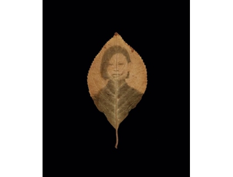 Livro Binh Danh The Enigma of Belonging de Danh, Binh et al. (Inglês - Capa Dura)