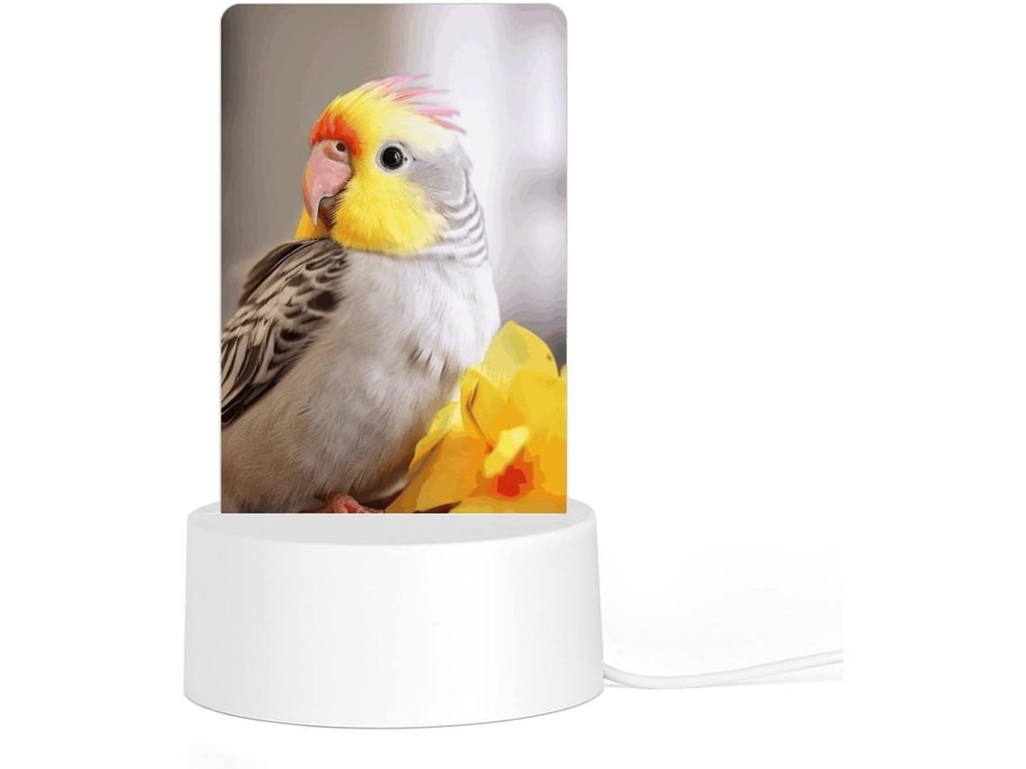 Luminária Noturna De Acrílico Com Base, Linda Luminária De Computador Com Estampa Cacatua Quarto, Banheiro