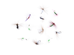 Fly Fishing Lures (bionic Fish Lures, Suitable For Angling) 12-piece Set New Fishing Tackle Bait Fly Fishing Supplies