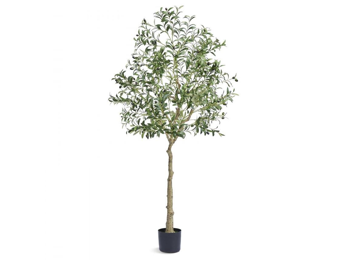 Árvore Artificial Oliveira 1,80m Com 1224 Folhas Em Pe Para Decoração Interior E Exterior Tekmaquinas