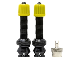 Mousse Compatível com Válvulas Tubeless Schrader 2 Unidades Douradox-Sauce