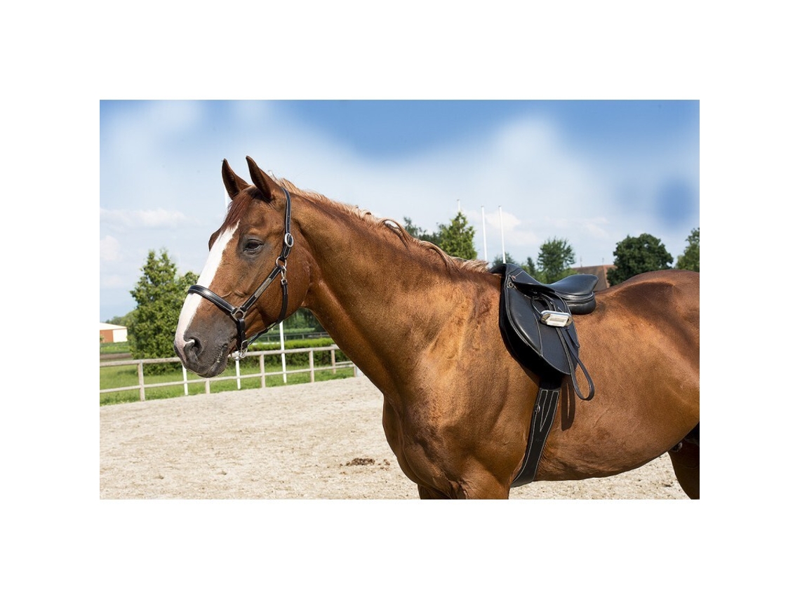 Cabresto de couro para cavalos ERIC THOMAS “Pro”