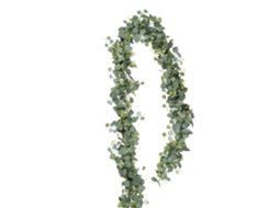 Gypsophila Paniculata Hojas De Eucalipto-gypsophila Paniculata