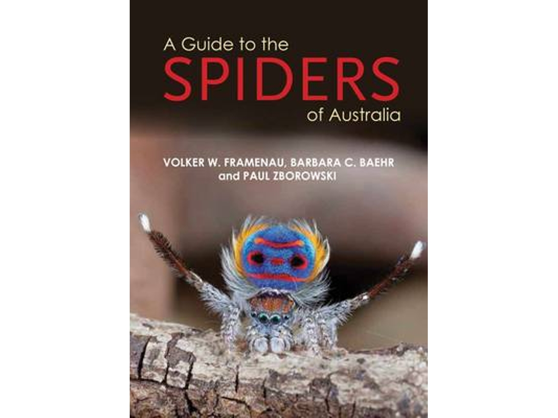 Livro a guide to the spiders of australia de paul zborowski (inglês)