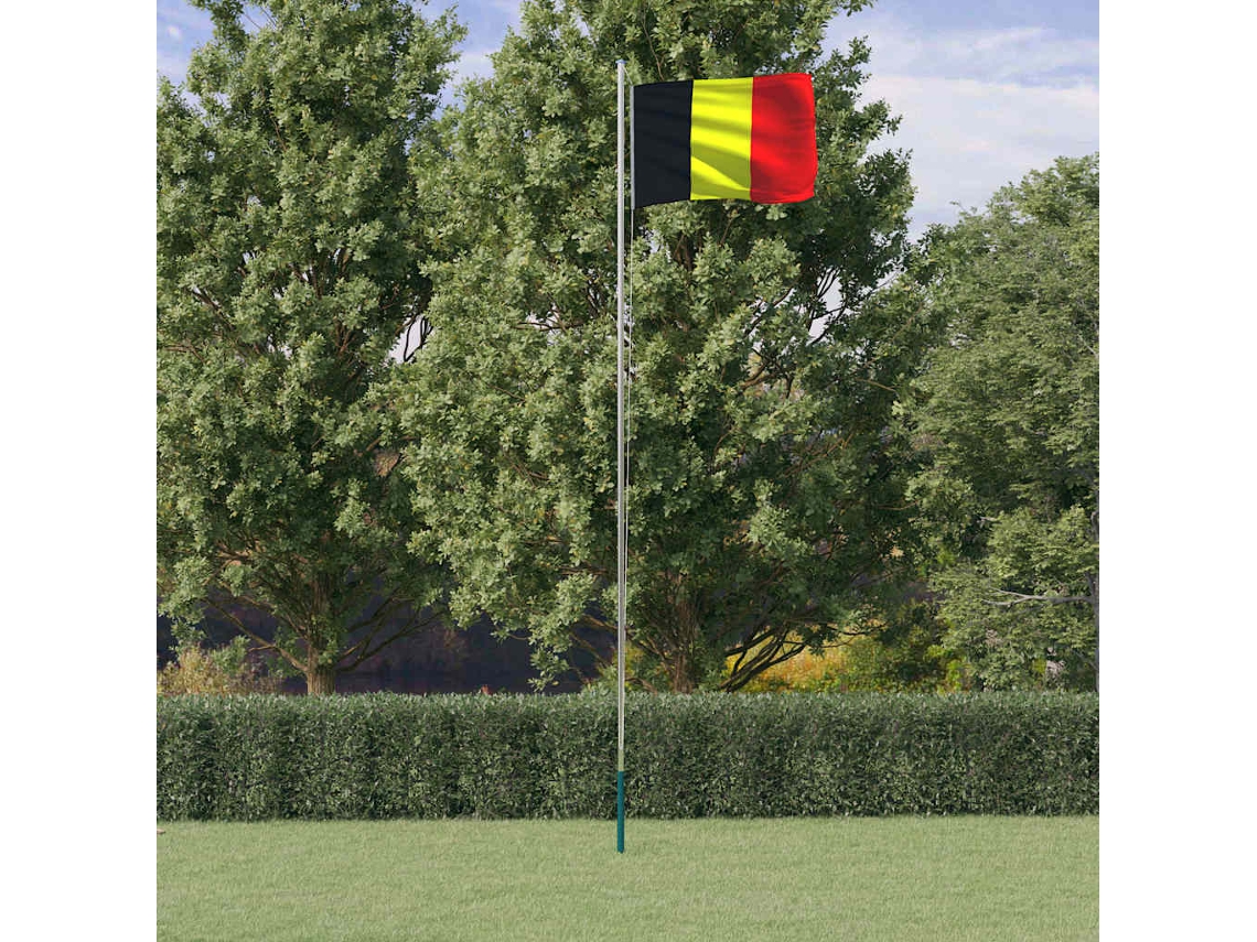 Vidaxl Bandeira Da Bélgica E Mastro 6,08 M Alumínio