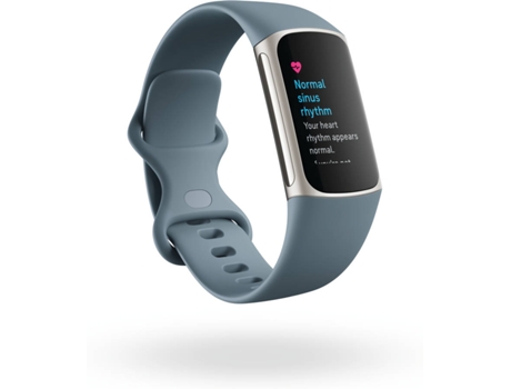 Pulseira de Atividade  Charge 5 - Aço Azul / Platina Aço Inoxidável