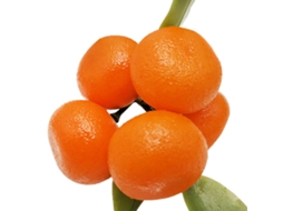 Laxiscreed Banda De Simulação Com Folha De Açúcar, Laranja E Mel, Diâmetro 3,5 Cm, Comprimento 9 Cm
