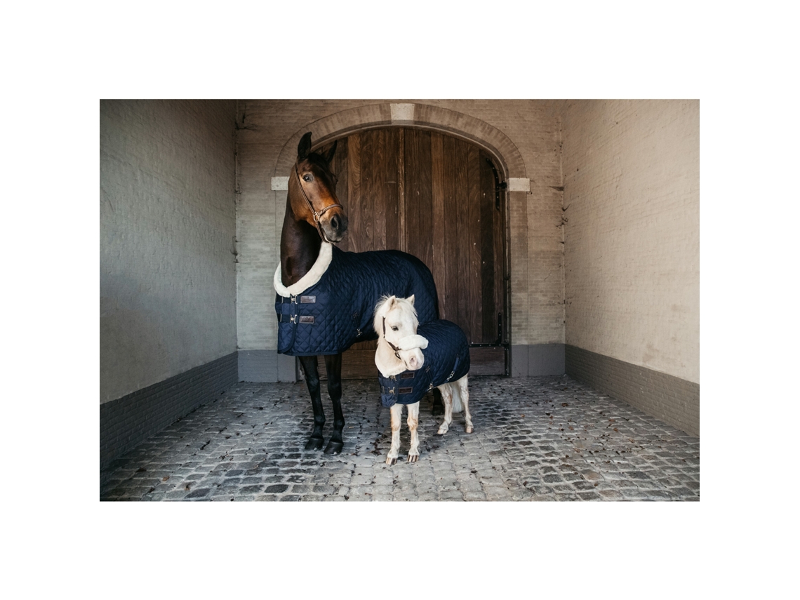 Capa de apresentação KENTUCKY 160 g 130 cm