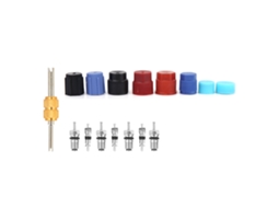 Kit de manutenção de ar condicionado com 16 peças: extrator de válvulas, bujões e vedações para sistemas de ar condicionado automotivo.
