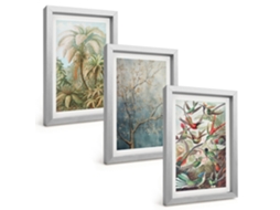 Composição De Quadros Plantas Tropicais, Pássaros, Natureza Espelharte (3 Peças 20x30 Cm)