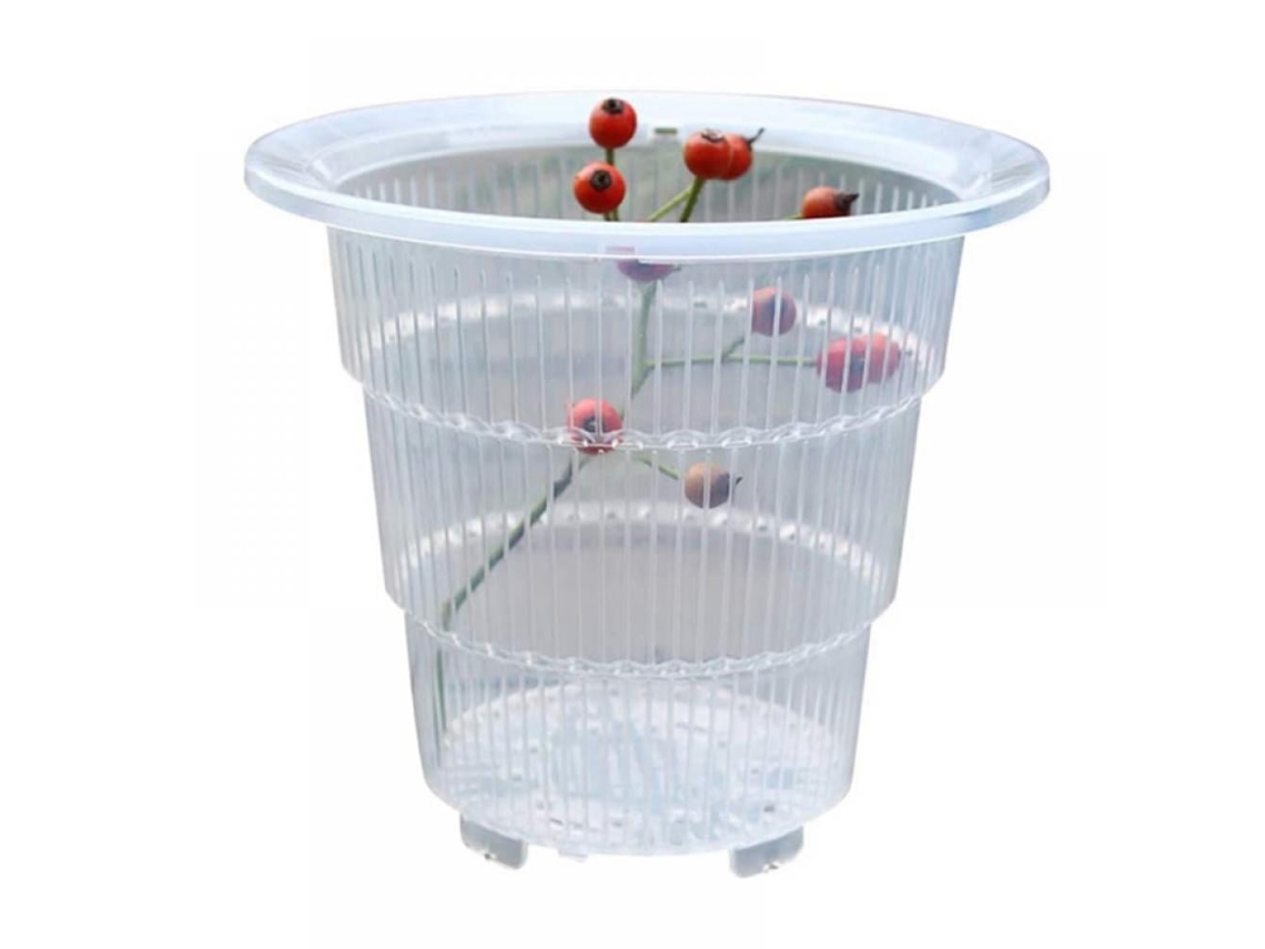 Vasos De Orquídeas Transparentes
