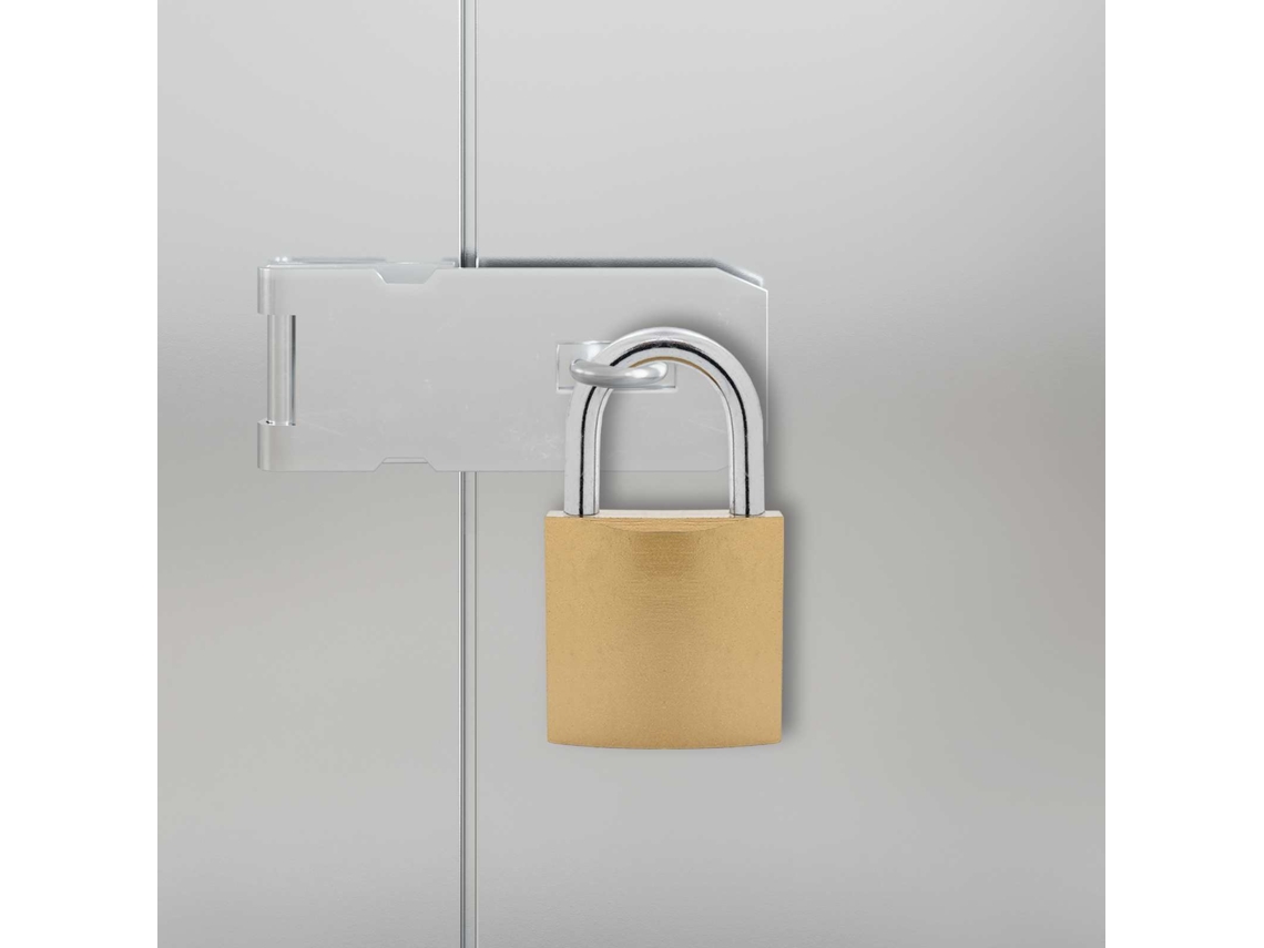 Vidaxl U Lock Com Chaves 12 Unid. Latão Ferro
